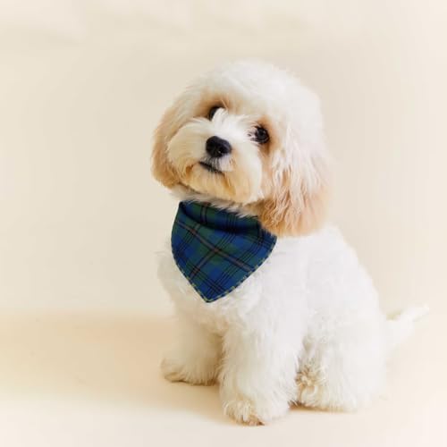 Double Layers Two Tones Dog Cotton Bandana Bibs Scarf DCB25 B&G - Image 2