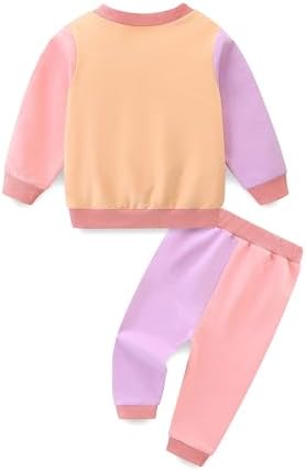 Toddler Baby Girl Clothes Fall Winter Long Sleeve Sweatshirt - Image 2