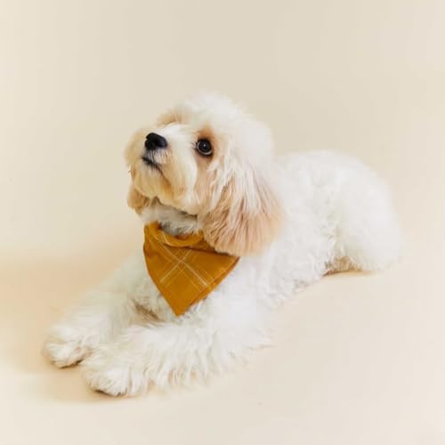 Double Layers Two Tones Dog Cotton Bandana Bibs Scarf DCB27 Y&W - Image 2