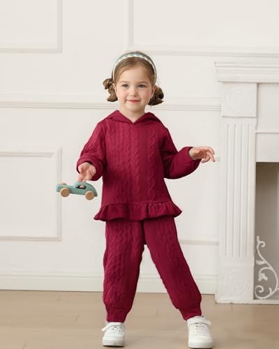 Mioglrie Baby Toddler Girl Clothes Infant Fall Winter Hoodie Solid Outfits - Image 2