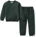 Burt's Bees Baby Boys Shirt and Pant Set, Long Sleeve Top & Bottom Outfit Bundle by BurtsBeesBaby