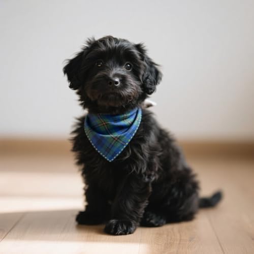 Double Layers Two Tones Dog Cotton Bandana Bibs Scarf DCB25 B&G - Image 3