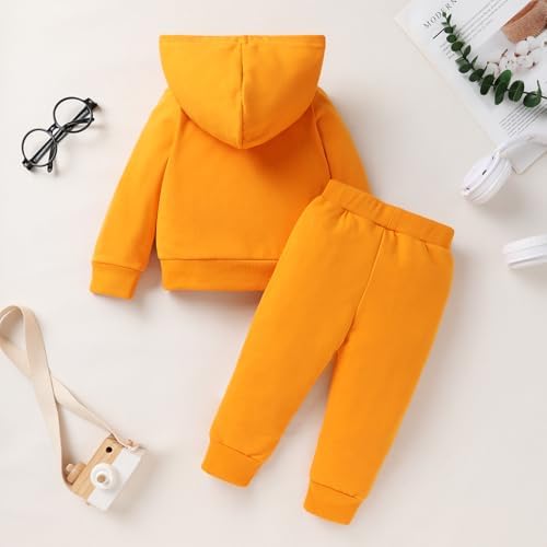YOUNGER TREE Baby Clothes for Girls Boy Solid Color Hoodie and Sweatpants - Image 3
