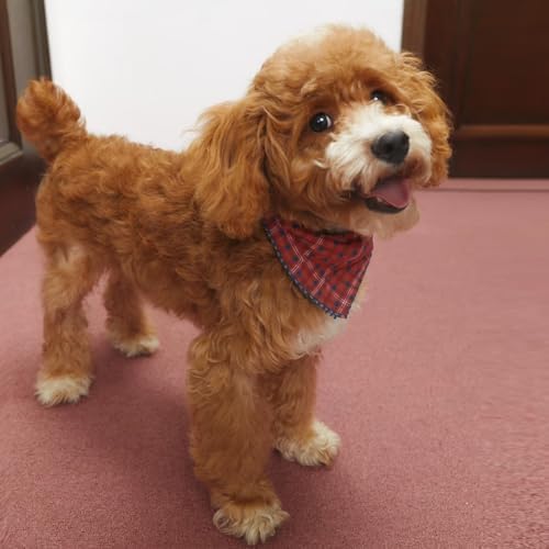 Double Layers Two Tones Dog Cotton Bandana Bibs Scarf DCB03 O&B - Image 2