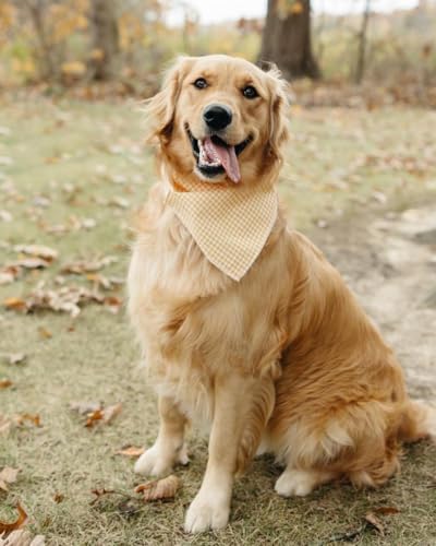 Lionet Paws Dog Bandana for Small Medium Large Dogs, Cat Dogs Kerchief Triangle - Image 2