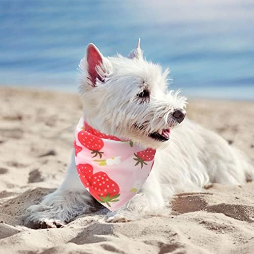 EXPAWLORER Dog Cooling Bandana - Image 7