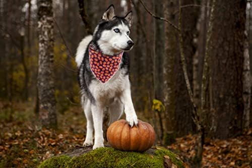 Lionet Paws Halloween Dog Bandana - Image 5