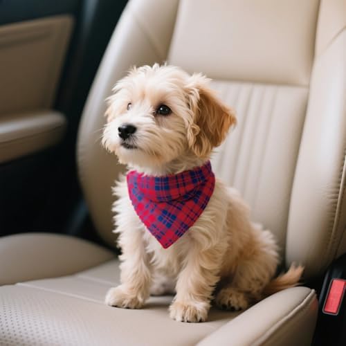 Double Layers Two Tones Dog Cotton Bandana Bibs Scarf DCB18 R&B - Image 3