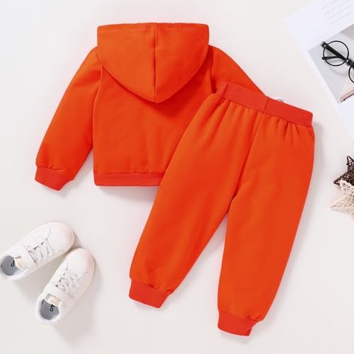 Happy Town Baby Fall Outfits for Girl Boy Long Sleeve Hoodie Top and Long - Image 3