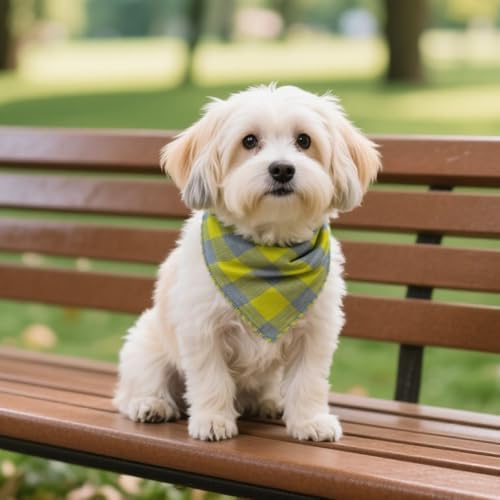 Double Layers Two Tones Dog Cotton Bandana Bibs Scarf DCB16 G&G - Image 3
