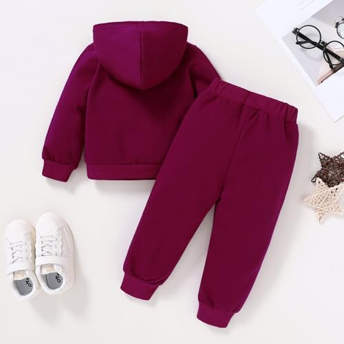 Happy Town Baby Fall Outfits for Girl Boy Long Sleeve Hoodie Top and Long - Image 3