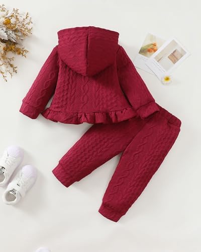 Mioglrie Baby Toddler Girl Clothes Infant Fall Winter Hoodie Solid Outfits - Image 4