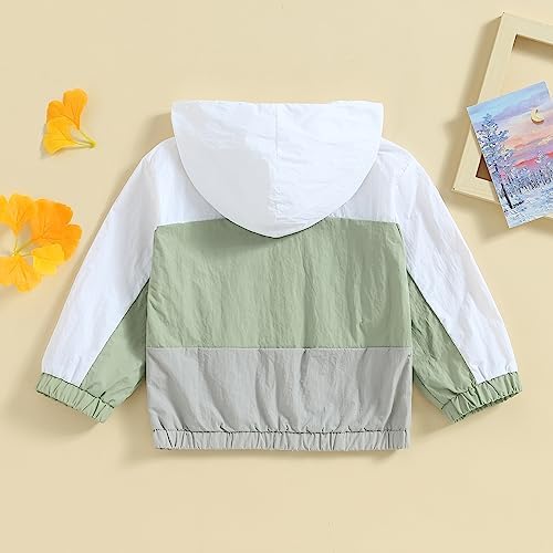 Toddler Baby Girl Windbreaker Jacket Zip Up Hoodie Long Sleeve Sweatshirt - Image 4
