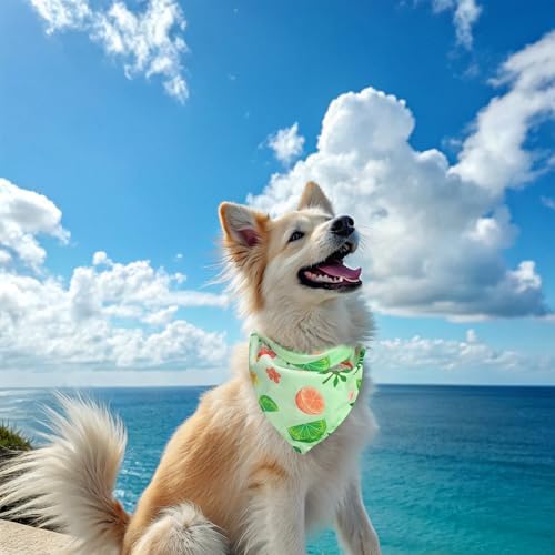EXPAWLORER Dog Cooling Bandana - Image 7