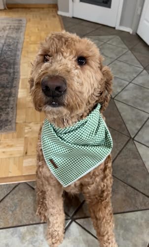 Lionet Paws Dog Bandana for Small Medium Large Dogs, Cat Dogs Kerchief Triangle - Image 3