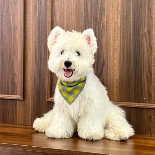 Double Layers Two Tones Dog Cotton Bandana Bibs Scarf DCB16 G&G - Image 2