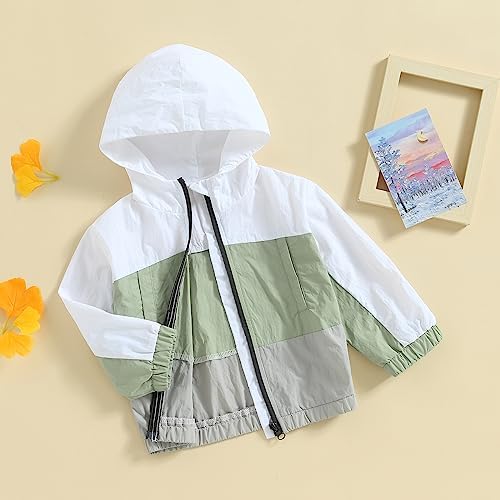 Toddler Baby Girl Windbreaker Jacket Zip Up Hoodie Long Sleeve Sweatshirt - Image 3