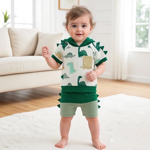 Toddler Baby Boy Hooded Dinosaur Summer Outfit Funny T-Shirt Shorts Set - Image 5