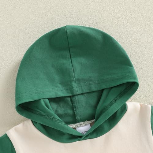 Toddler Baby Boy Hooded Dinosaur Summer Outfit Funny T-Shirt Shorts Set - Image 7