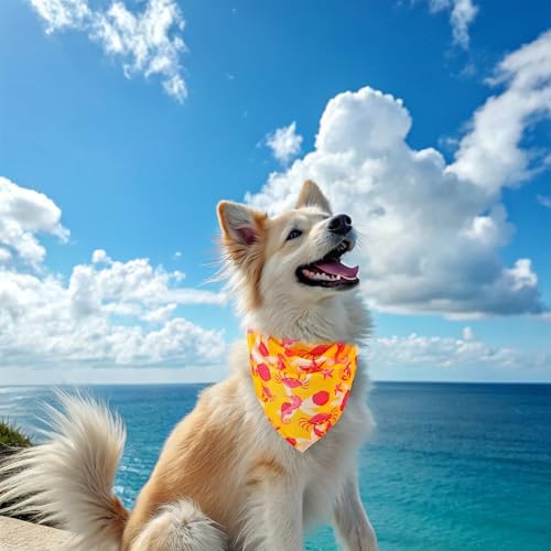 EXPAWLORER Dog Cooling Bandana - Image 7