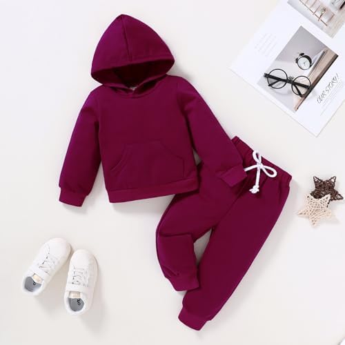 Happy Town Baby Fall Outfits for Girl Boy Long Sleeve Hoodie Top and Long - Image 2