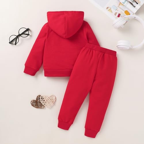 YOUNGER TREE Baby Clothes for Girls Boy Solid Color Hoodie and Sweatpants - Image 3