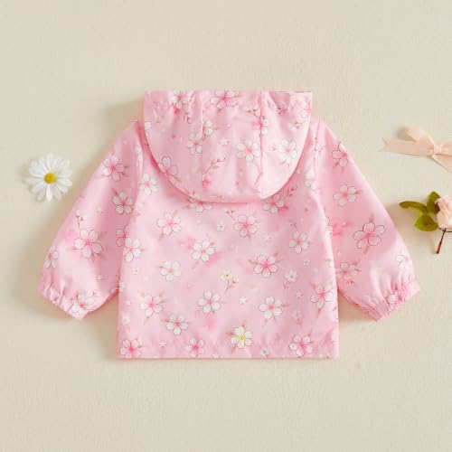 Toddler Baby Girl Windbreaker Jacket Zip Up Hoodie Long Sleeve Sweatshirt - Image 6