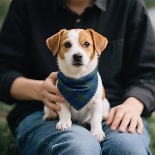 Double Layers Two Tones Dog Cotton Bandana Bibs Scarf DCB25 B&G - Image 7