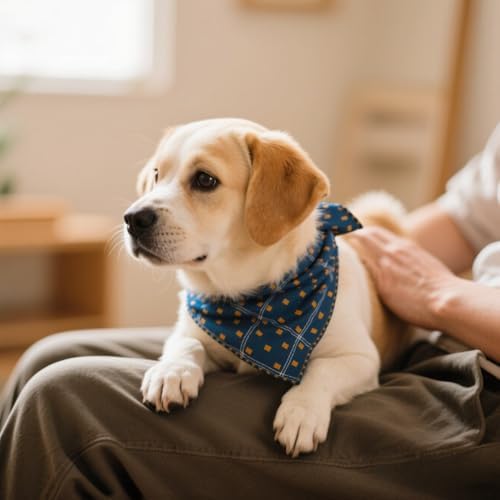 Double Layers Two Tones Dog Cotton Bandana Bibs Scarf DCB01 B&Y - Image 2
