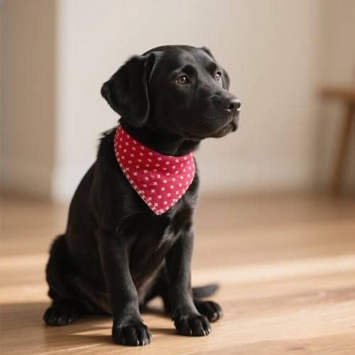 Double Layers Two Tones Dog Cotton Bandana Bibs Scarf DCB07 R&B - Image 3