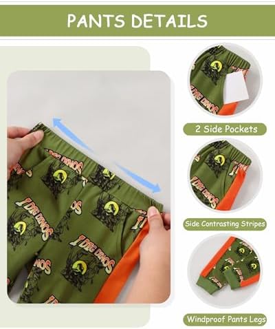 Toddler Baby Boy Clothes Dinosaur Hoodie+Pant 2Pcs Outfit Set 9M-5T - Image 3