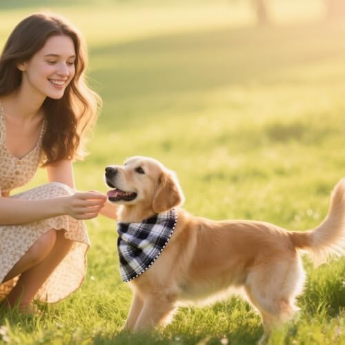 Double Layers Two Tones Dog Cotton Bandana Bibs Scarf DCB05 B&G - Image 6