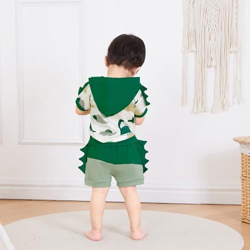 Toddler Baby Boy Hooded Dinosaur Summer Outfit Funny T-Shirt Shorts Set - Image 6