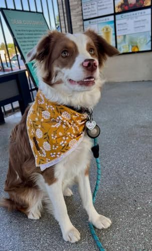 Lionet Paws Flower Dog Bandana, Fabric Yellow Dogs Kerchief - Image 2