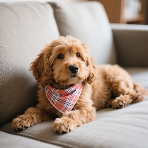 Double Layers Two Tones Dog Cotton Bandana Bibs Scarf DCB09 P&W - Image 6