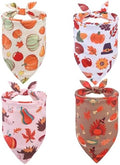 EXPAWLORER Fall Dog Bandana Set by EXPAWLORER