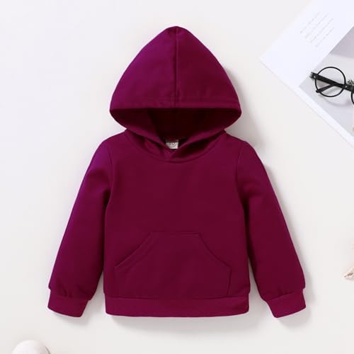 Happy Town Baby Fall Outfits for Girl Boy Long Sleeve Hoodie Top and Long - Image 4