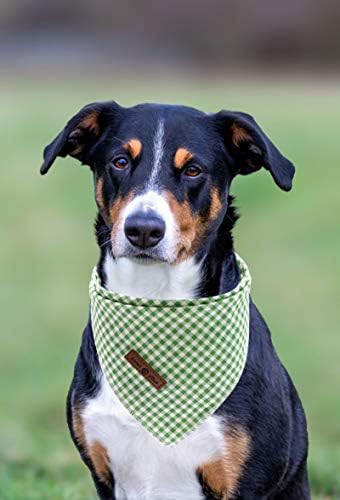 Lionet Paws Dog Bandana for Small Medium Large Dogs, Cat Dogs Kerchief Triangle - Image 5