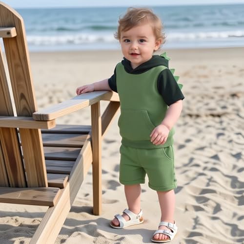 Toddler Baby Boy Hooded Dinosaur Summer Outfit Funny T-Shirt Shorts Set - Image 3