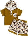 Toddler Baby Boy Hooded Dinosaur Summer Outfit Funny T-Shirt Shorts Set by LIOMENGZI