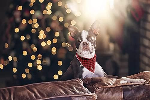 Lionet Paws Christmas Dog Bandana - Image 6