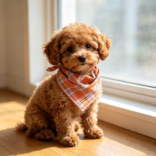 Double Layers Two Tones Dog Cotton Bandana Bibs Scarf DCB09 P&W - Image 5