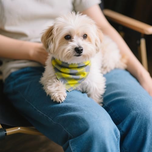Double Layers Two Tones Dog Cotton Bandana Bibs Scarf DCB16 G&G - Image 7