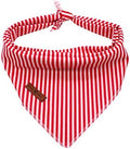Lionet Paws Dog Bandana for Small Medium Large Dogs, Cat Dogs Kerchief Triangle by lionetpaws