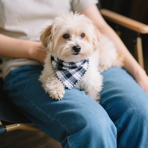 Double Layers Two Tones Dog Cotton Bandana Bibs Scarf DCB05 B&G - Image 7