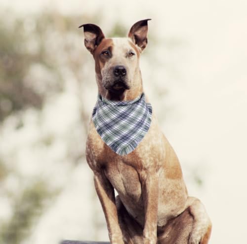 Fall Dog Bandana Autumn Thanksgiving Plaid Reversible Triangle Bibs Scarf - Image 5