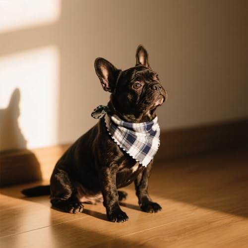 Double Layers Two Tones Dog Cotton Bandana Bibs Scarf DCB05 B&G - Image 2