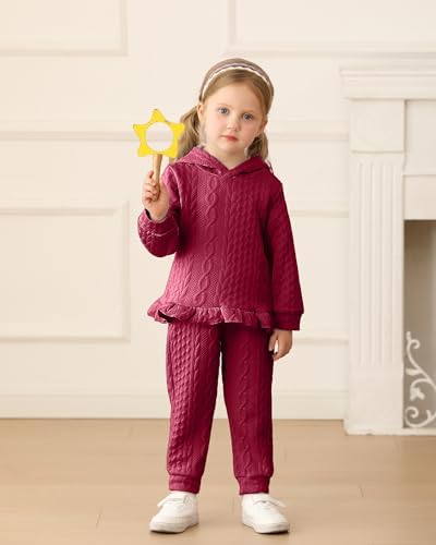 Mioglrie Baby Toddler Girl Clothes Infant Fall Winter Hoodie Solid Outfits - Image 3