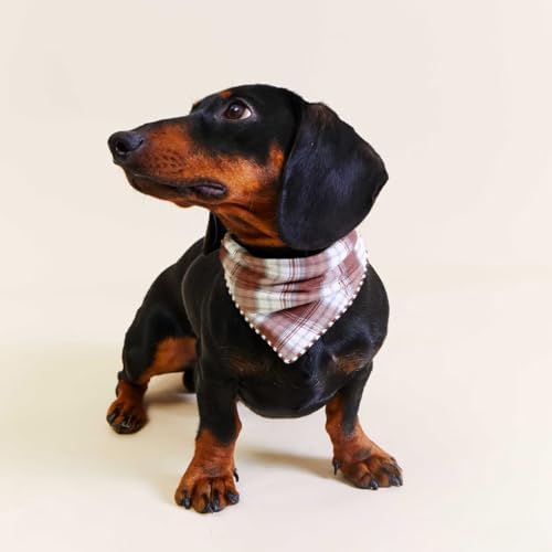 Double Layers Two Tones Dog Cotton Bandana Bibs Scarf DCB06 B&B - Image 2