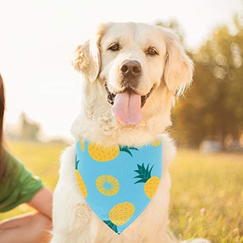 EXPAWLORER Dog Cooling Bandana Set - Image 7
